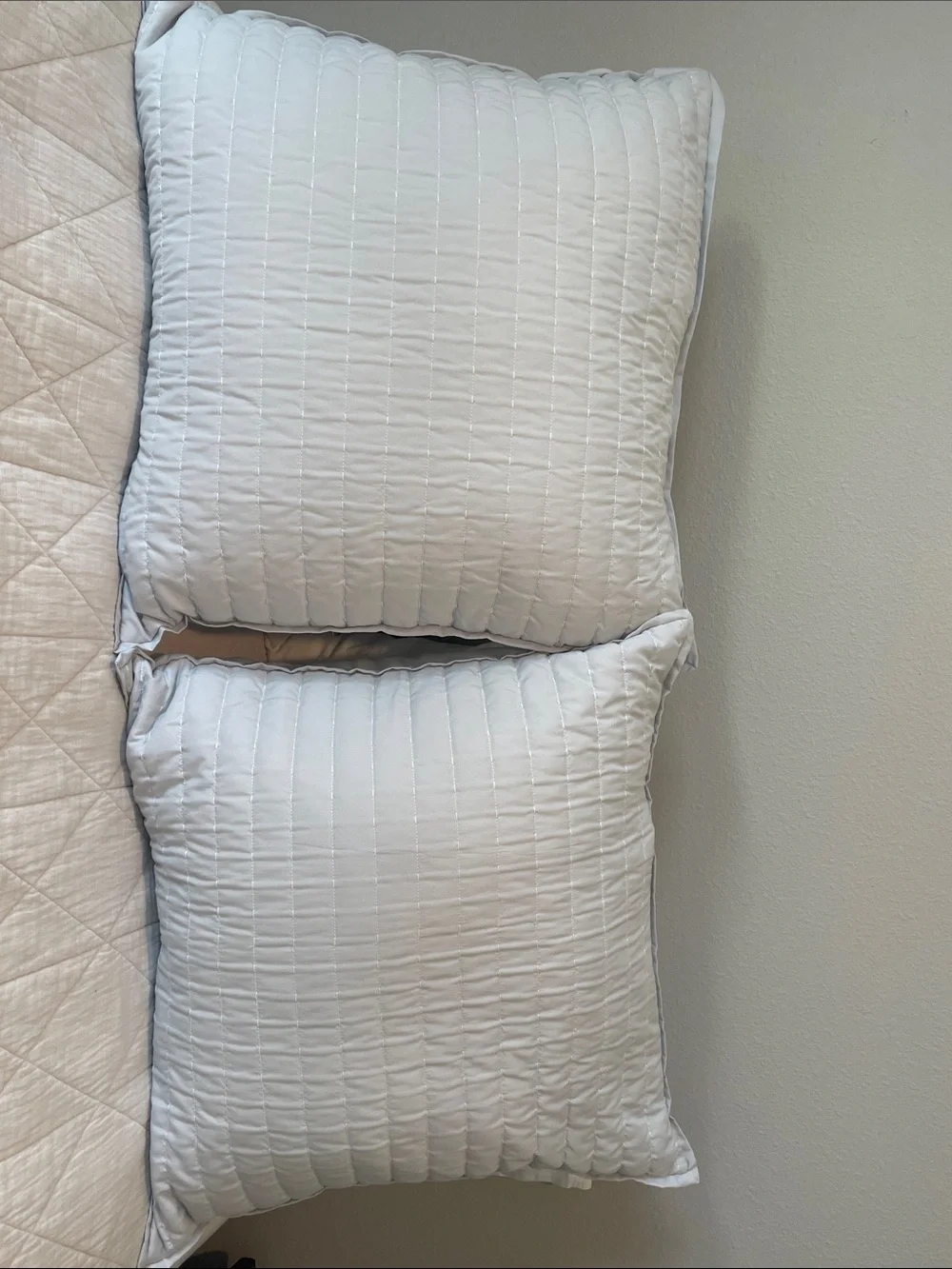Target Light Gray Euro Covers Pair